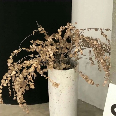 Furry绘画光影技巧福瑞交流群